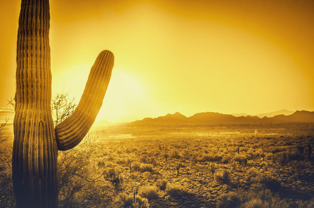 solar window screens in Gilbert, AZ