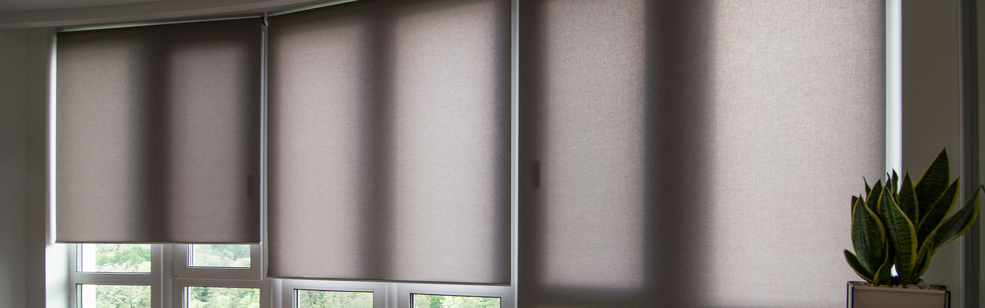 Roller Shades